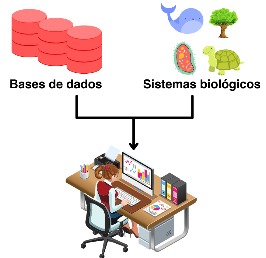 Descrição da Imagem