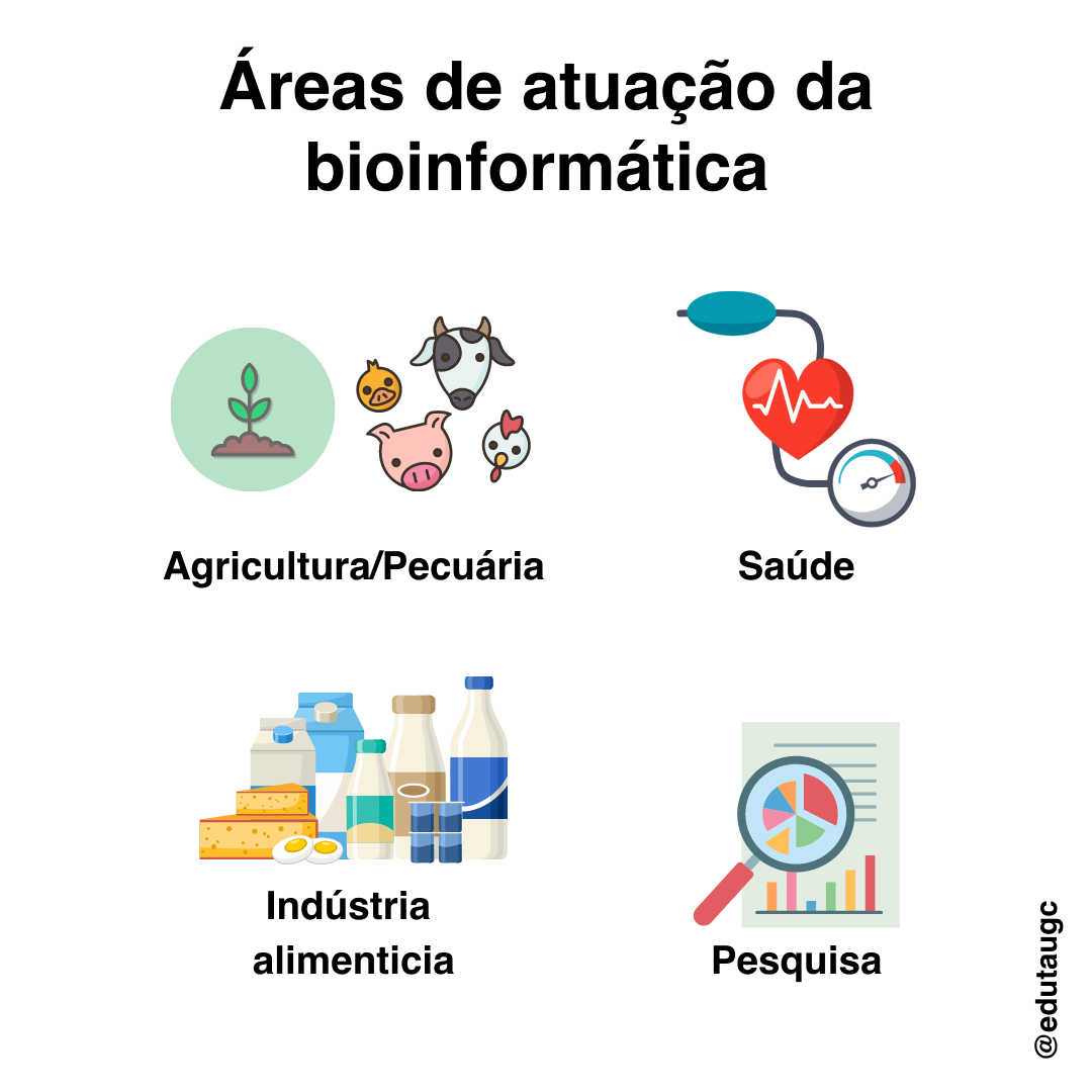Descrição da Imagem
