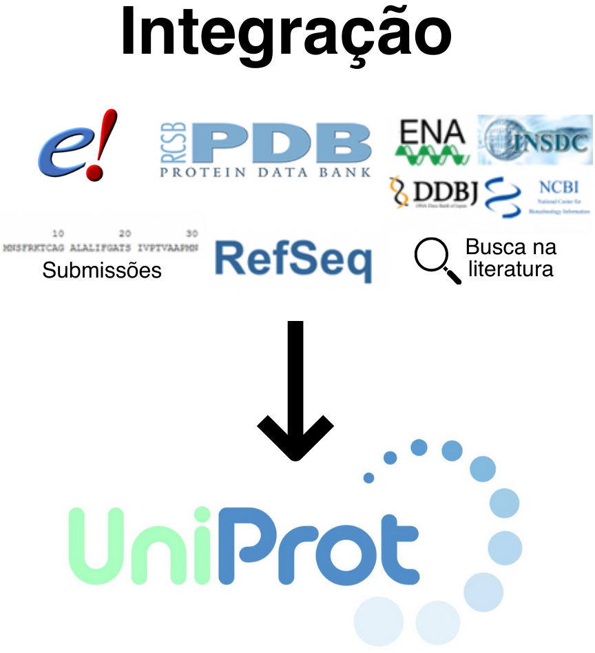 Descrição da Imagem