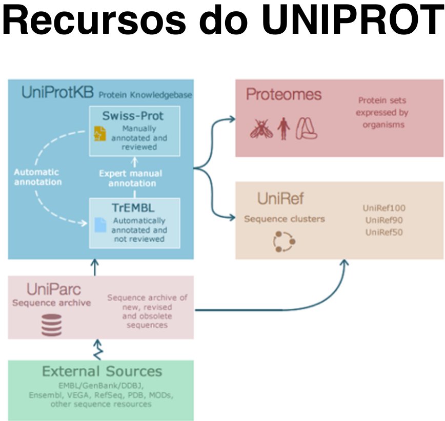 Descrição da Imagem